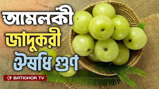 আমলকী যতো উপকারী পুষ্টিগুণ  Amloki  Amla  Bangla news [upl. by Earized]