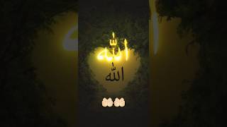 Oh Allah the Almighty Allah hu allah 🤲🏻🤲🏻🕋🕋shortsviral foryou allah shortfeed [upl. by Nyliac]