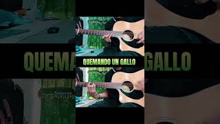 Quemando Un Gallo Requinto 🎸🔥🙌🏽 clasesderequinto requinto tutorialacordes guitarra [upl. by Cimbura]