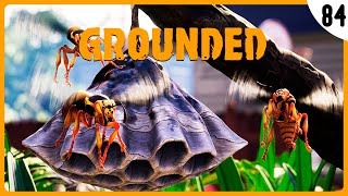 DESTRUYENDO los PANALES de AVISPAS  Grounded Gameplay Español 84 [upl. by Galven]