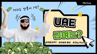 SUB 두바이 거지도 돈 많이 버나요 아랍에미레이트 급여  UAE Salary [upl. by Andra]