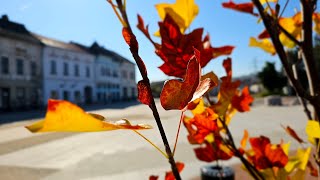 Toamnă în culori o plimbare în Hunedoara [upl. by Vogeley6]