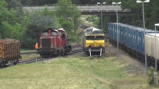 BE Bentheimer Eisenbahn in Nordhorn mit V100 [upl. by Scheer285]