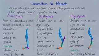 Locomotion in mammals  plantigrade digitigrade unguligrade  class 12 [upl. by Nizam856]