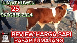 REVIEW HARGA SAPI JANTAN PASCA KONTES KEDIRI RAYA TULUNGAGUNG PASAR SAPI LUMAJANG 25 OKTOBER 2024 [upl. by Baras960]