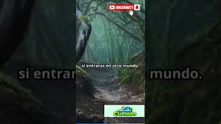 El bosque encantado de Wistman Misterios y leyendas [upl. by Bevash]