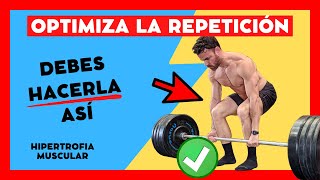 FASE EXCÉNTRICA ¿Es IMPORTANTE para la GANANCIA MUSCULAR o NO 💪🏻⚠️ [upl. by Onitnelav]