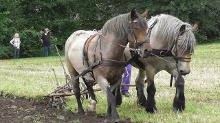 Ploughing with horses [upl. by Ettennej]