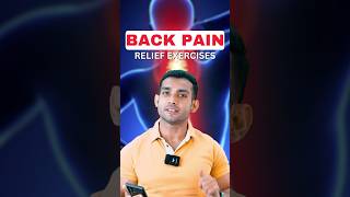 Back Pain Relief Exercises  Shorts [upl. by Collis112]