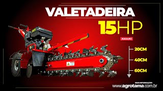 Valetadeira a Gasolina 15HP 4T até 600mm 60mh Partida Manual  Nagano [upl. by Cony982]