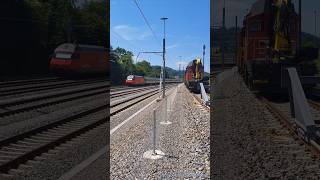 SBB Personenzüge bei Wohlenschwil [upl. by Ecinrahs]