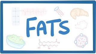 PUFAs Polyunsaturated Fatty Acid Metabolism DHA EPA AA [upl. by Lamrouex911]