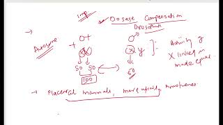 DOSAGE COMPENSATION IN DROSOPHILA [upl. by Nylakcaj]