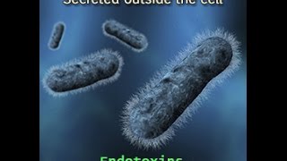 Endotoxins Vs Exotoxins [upl. by Bueschel]