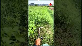 Powerful OneHand Grass Cutting Tool  Easy Lawn Care Solution GardeningTools Trimming Effortless [upl. by Ydualc]