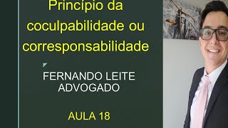 Princípio da coculpabilidade ou corresponsabilidade  AULA 18 [upl. by Modnarb684]