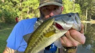 Interstate PONDS are LOADED with BASS [upl. by Nevyar266]