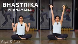 Bhastrika Pranayama  Bhastrika Pranayama for Beginners  Breathing Exercise  VentunoYoga [upl. by Nahtnamas]