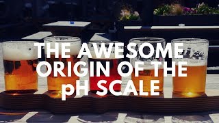 The Awesome Origin of the pH Scale  Visaya Weekly Episode 19 [upl. by Eila]