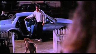 Turner and Hooch funny scene [upl. by Danell924]