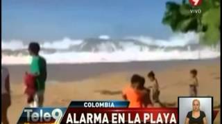 Colombia Alarma en la playa [upl. by Grant]