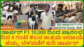 3 ತಿಂಗಳು F2 ಡಾರ್ಪರ್ ಕುರಿ ಮರಿ 35000 ಕೊಟ್ಟೆ  ಖರ್ಚು ಕಡಿಮೆ ಮರಿಗಳಲ್ಲಿ ಲಾಭ  Dorper Sheep Farming [upl. by Aneekal]