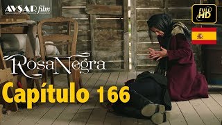 Rosa Negra  Capítulo 166 HD En Español [upl. by Canter89]