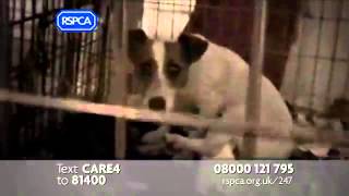 RSPCA Advert  247 2012 [upl. by Aicilyhp636]