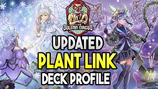 YuGiOh Rikka Sunavalon Deck Profile July 2024 [upl. by Allenod]