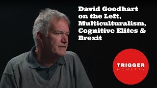 David Goodhart on the Left Multiculturalism Cognitive Elites amp Brexit [upl. by Semadar]