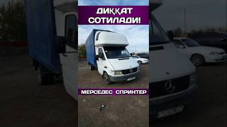 Alijon Soliev  MERCEDES SPRINTER 59 shorts automobile rek [upl. by Suired561]