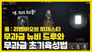 롬 무과금 뉴비 직업 추천 및 초반 육성 정보 쉽게 정리 [upl. by Atnauq814]