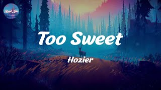 Too Sweet  Hozier Lyrics [upl. by Attiuqal]