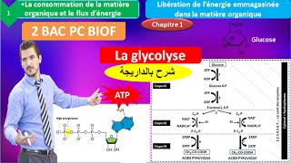 La glycolyse svt 2 bac PC option français BIOF ملخص بالداريجة [upl. by Gotthard]