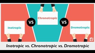 Discuss Chronotropic Inotropic Dromotropic Bathmotropic actions and Idioventricular rhythm [upl. by Asher]