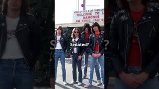 The Ramones 60s of Punk Rock History shorts shortvideo theramones youtubeshorts [upl. by Alathia693]