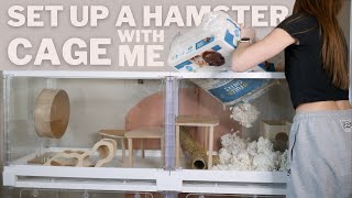 Set up a Hamster cage With Me [upl. by Jowett]