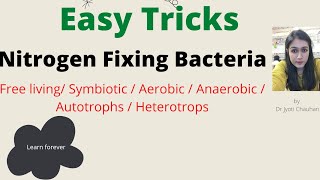 Trick to learn nitrogen fixing bacteria Symbiotic Free living bacteria  Covered all bacterias [upl. by Massab22]