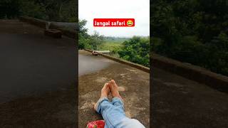 Naad firnyacha  marathi mini vlog  vlog  marathi minivlog vlog shorts [upl. by Ynneb]