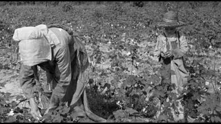 Daily Life As a Sharecropper  Documentary Clip [upl. by Somerville]