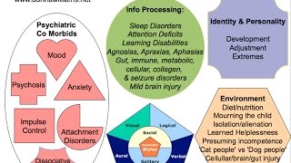 Autism amp Asperger Differences Using Donna Williams quotFruit Saladquot Analogy 1995 HD [upl. by Tekla926]