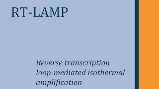 RTLAMP Como funciona [upl. by Llerrad]