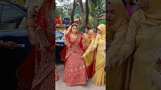 নতুন বউ চলে এসেছেviralvideo viralshort wedding [upl. by Criswell]