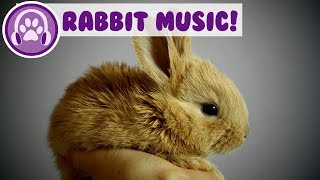 Music for Rabbits Calm and Soothe Your Rabbit and Stop Anxiety [upl. by Akitan]