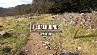 Pedalhounds DH trail at Cwmcarn [upl. by Mieka]