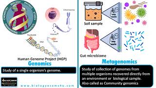 Difference between Genomics and Metagenomics [upl. by Queen]