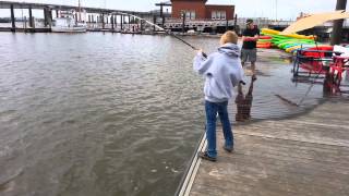 JM catches HUGE Catfish in Washington DCs Anacostia River  Oct 2013 [upl. by Namielus]