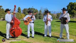 El sonido del Sax La Cruz de Madera Norteños Con Sax y Tololoche en el Cementerio norteñasconsax [upl. by Noirod440]