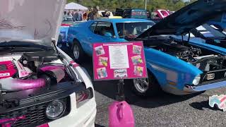 Morgantown car show Pa USA WwwClassicamericancarsalescouk [upl. by Aztinad]