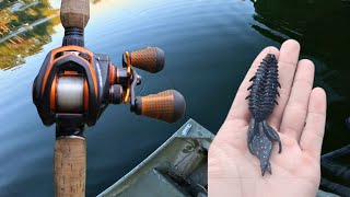 Fishing For Giant Bass on Docks [upl. by Jandy786]